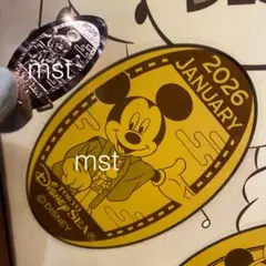 ちぃ様 リクエスト 2点 まとめ商品