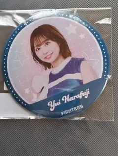 2026年最新】日本ハム ピンバッジの人気アイテム - メルカリ