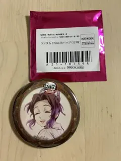 鬼滅の刃 無限城編 「決戦の火蓋を切る」第二期 胡蝶しのぶ