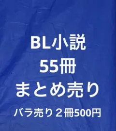 西澤保彦 講談社ノベルス 19作品セット - メルカリ