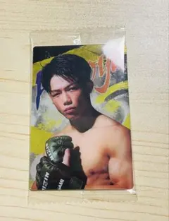 Item thumbnail for item e6764beb-928e-405e-9427-f2c460e28e73