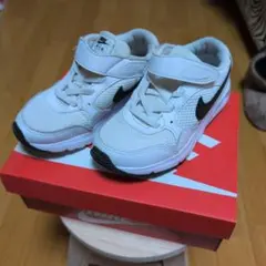 Item thumbnail for item 11a8e33b-a178-43e5-9811-c6549c9bade3