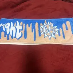 2026年最新】ノーベルブライトグッズの人気アイテム - メルカリ