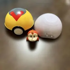 ポケモンゲットコレクションズ　ホゲータ