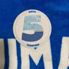 北海道日本ハムファイターズ　和風缶ミラー　大田泰示