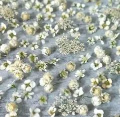 Miwako 82様 リクエスト 2点 まとめ商品