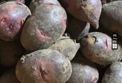 2026年最新】デストロイヤ 10kgの人気アイテム - メルカリ