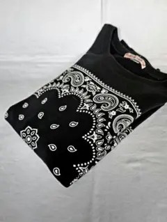 Item thumbnail for item 8b8bb939-5822-45c0-b225-9d9313d6ecda