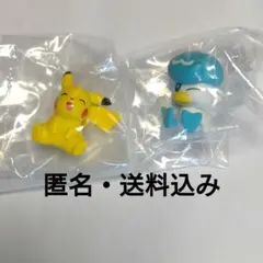 ポケモン　みんなのラプラス　ピカチュウ　クワッス