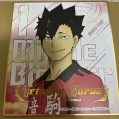 ハイキュー!! 黒尾鉄朗 ビジュアル色紙コレクション7 ミニ色紙