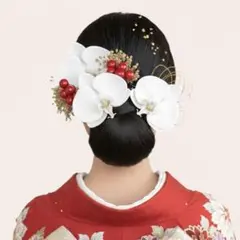 胡蝶蘭 可愛い 卒業式 髪飾り 振袖 和装 花 ドライ 水引 成人式 七五三 袴