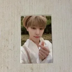 ディノ an ode トレカ