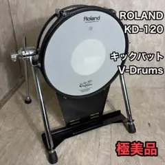 2026年最新】Roland KD 120の人気アイテム - メルカリ