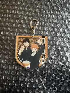 ハイキュー!! アクキー 影山飛雄 日向翔陽