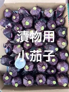 漬物用小茄子　コンパクトBOXいっぱいのサムネイル