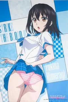 2026年最新】姫柊雪菜 タペストリーの人気アイテム - メルカリ