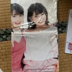 Item thumbnail for item 5b638601-11e7-4a4a-80d2-f717eb40f787