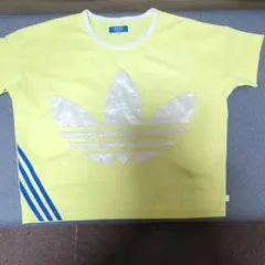 アディダスティーシャツ