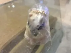 ポーラーベアバンクミニチュアチャーム２　マフラー