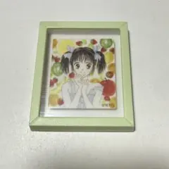 ママレードボーイ　マグネット　スリコ　3coins りぼん70th