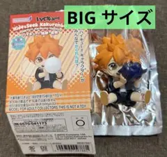 ハイキュー 烏野 日向翔陽 HIDE&SEEK かくれんぼ ペリハピ