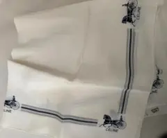 Item thumbnail for item 32883ad7-6486-4572-8d9a-becfa2225385