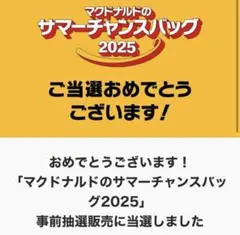 【当選グッズ】マクドナルド サマーチャンスバッグ 2025 グッズ
