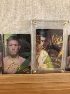 Item thumbnail for item 706f71a5-c251-4d25-a89f-274f155c698d