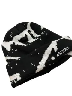 ⭐︎稀少⭐︎ アーケオプテリクス レプリカ 2026年最新】始祖鳥 化石の人気アイテム - メルカリ