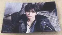 ALPHA DRIVE ONE ALD1 アンシン フライヤー タワレコ限定