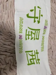 Item thumbnail for item 0405d200-4ac4-48fa-b2f6-1b99f88672b3