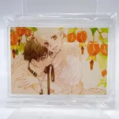 Item thumbnail for item 8a188336-bcb9-46f7-ba50-2a0f728c5073