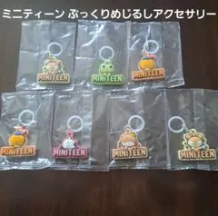 MINITEEN ぷっくりめじるしアクセサリー SEVENTEEN セブチ