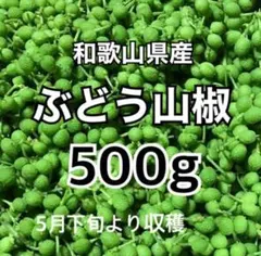 秋田県産　朝採れ　花山椒　65g クール便代込み　4/26 16時まで 秋田県産 朝採れ 花山椒 65g クール便代込み 4/26 16時まで - メルカリ