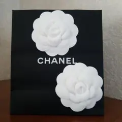 CHANELペーパーバッグ