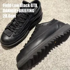 DANNER × BRIEFING FIELD LOW GORETEXのサムネイル