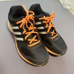 Item thumbnail for item e24735c1-2cbd-4f58-9f7a-6e4f94290434