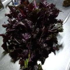 ✰Madame  Kei✰様 リクエスト 2点 まとめ商品