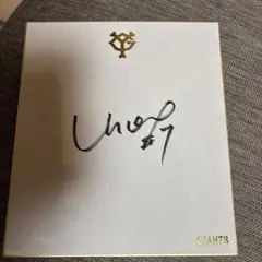 Item thumbnail for item 5a432d8e-fb71-4a05-af6c-b5a9ce18157f