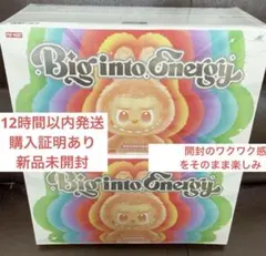 Big into Energy 新品未開封2セット ( 12体入り)