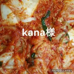 kana様専用です。