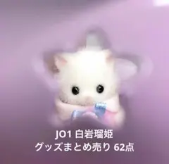 JO1 白岩瑠姫 グッズまとめ売り62点 (トレカ•アクスタ•生写真•4cut)