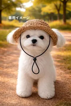 펫 썸머 햇 (베이지)