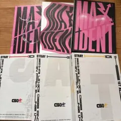 Stray Kids 6枚セット ★値下げ中★