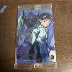 エヴァンゲリオン 碇シンジ トレーディングカード