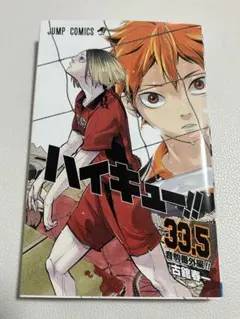 ハイキュー!! 33.5 プレミアム版