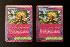 ポケモンカード 偉大な大樹 ACE