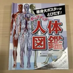 ポップアップ人体図鑑 : 等身大ポスターがとびだす! - メルカリ