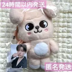 straykids スキズ SKZOO プラッシュ クロスバッグ パピーム - メルカリ