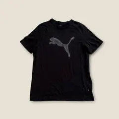 PUMA プ－マ 半袖Tシャツ (L） 黒 フロントプリント